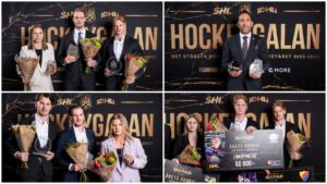 Här är vinnarna på Hockeygalan