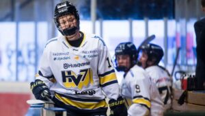 SDE höll nollan och tog stark seger mot HV 71