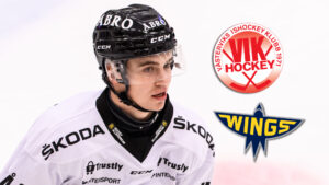 Wings HC Arlandas besvikelse: ”Det kom väldigt sent”