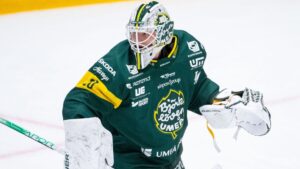 Björklöven höll nollan och tog stark seger mot Almtuna