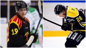 Johannes Kinnvall återvänder till Brynäs