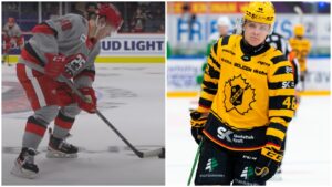 Därför får svensken inte chansen i NHL – trots AHL-succén