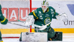 Stark defensiv när Björklöven vann mot VIK Hockey