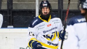 HV 71 höll nollan och tog stark seger mot SDE