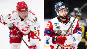 Joakim Hagelin och Daniel Karlsson stängs av