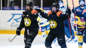 Brynäs kvitterar finalserien mot Luleå