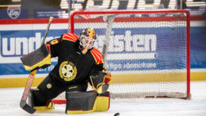 1–0-seger för Brynäs mot Modo – Maja Nylén-Persson matchhjälte