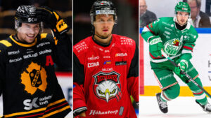 SHL:s besked: Tre spelare stängs av