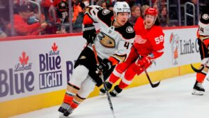 Så mycket vill Anaheim ha för Hampus Lindholm