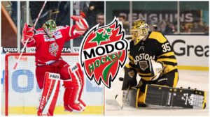 Linus Ullmark om MoDos SHL-chanser: “Alltid hoppfull”