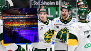 Björklöven vinner på Hovet: “Underbart att kunna tysta publiken”