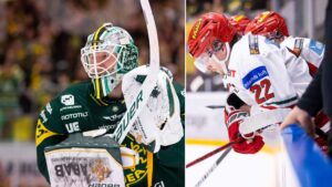 Björklöven slog Modo Hockey på hemmaplan