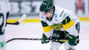 Segersviten sprack för Björklöven mot Mora