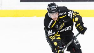 AIK slog Troja/Ljungby efter Lucas Carlssons dubbel