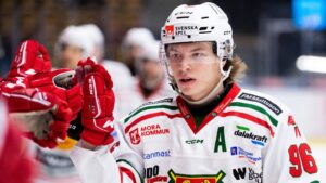 Segersviten sprack för VIK Hockey mot Mora