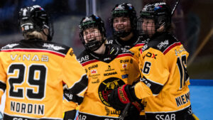 Luleå har fem raka segrar – vann mot AIK med 10-1