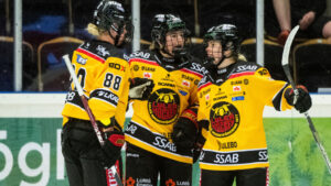 Ryck i sista perioden avgjorde för Luleå borta mot Linköping