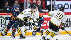 Magnus Eisenmenger klar för Adler Mannheim