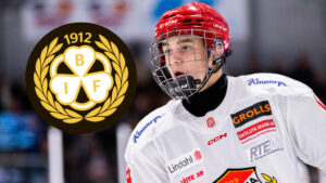 Avslöjar: Mai Crnkic klar för Brynäs