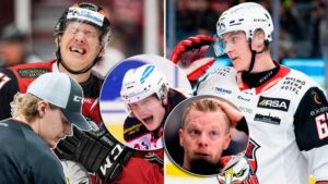 SHL:s största fysmonster: IF Malmö Redhawks