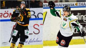 Martin Sevc slutar med ishockey