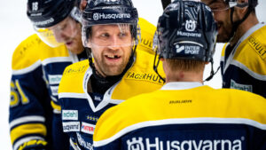 Martin Thörnberg lånas in av HV71