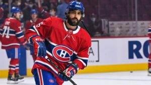 Mathieu Perreault avslutar NHL-karriären