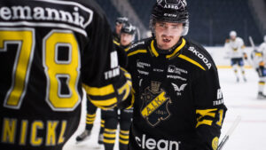 Max Lindholm lämnar AIK för Skellefteå AIK