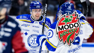 Mikael Ruohomaa byter Leksand mot MoDo