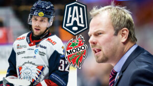 Henrik Gradins besvikelse mot HockeyAllsvenskan i “Modigs-gate”