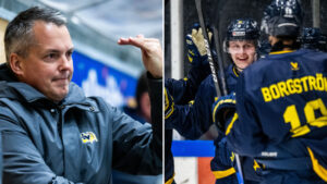 Hugo Pettersson och Hugo Fransson segerskyttar för HV71 mot Rögle