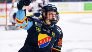 Tuff match slutade med seger för Djurgården mot HV 71