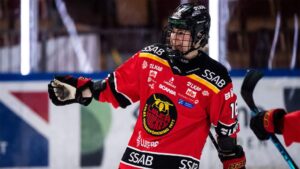 Luleå vann efter avgörande i tredje perioden mot Modo