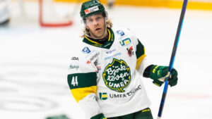 Seger för Björklöven som utjämnade mot HV 71