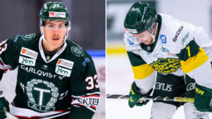 Tingsryd upp på säker mark – efter chockvinst mot Björklöven