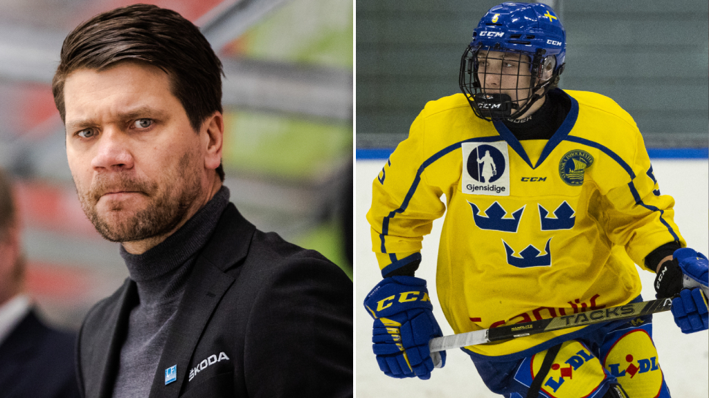 Team 17 tappade ledning till förlust mot Finland