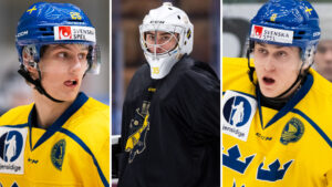 14 svenskar valda i USHL-draften