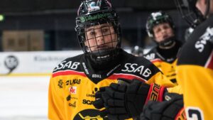 Luleå ny serieledare efter seger mot SDE