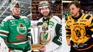 LISTA: SHL-stjärnorna som kan skriva NHL-kontrakt