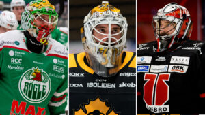 Klart: De nomineras till årets målvakt i SHL