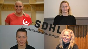 Få full koll på SDHL:s Silly Season – övergångar och rykten