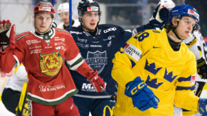 Så går det för SHL-lånen i Hockeyallsvenskan