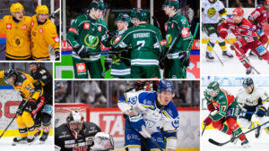 Sammanställning: Så spelar SHL-lagen under försäsongen