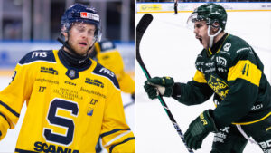 Björklöven studsar tillbaka – vinner mot Södertälje: “Vi torskar inte på fredagar”