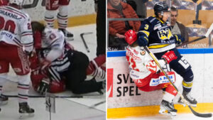 Steven Seigo och Daniel Bertov stängs av två matcher var