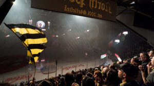 Skellefteå AIK bötfälls för inkastade föremål på isen