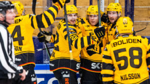 Seger för Skellefteå borta mot Leksand