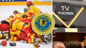 Södermanland – TV-pucken 2022: Kommentarer om ALLA spelare