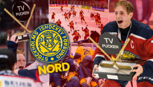 TV-pucken 2023: Stockholm Nord – kommentarer om ALLA spelare