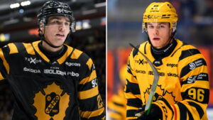 Skellefteå förlänger med Albin Sundsvik och Rickard Hugg